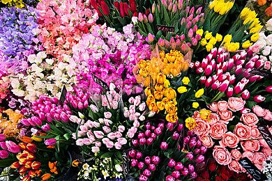 SIE《战神：诸神黄昏》“拍照模式”现已推出